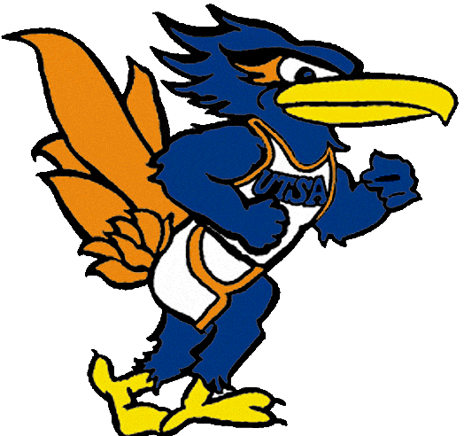 Texas-SA Roadrunners 1996-2007 Mascot Logo DIY iron on transfer (heat transfer)